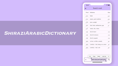 Screenshot #2 pour ShiraziArabicDictionary