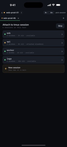 TermRover - SSH Terminal iPhone screenshot