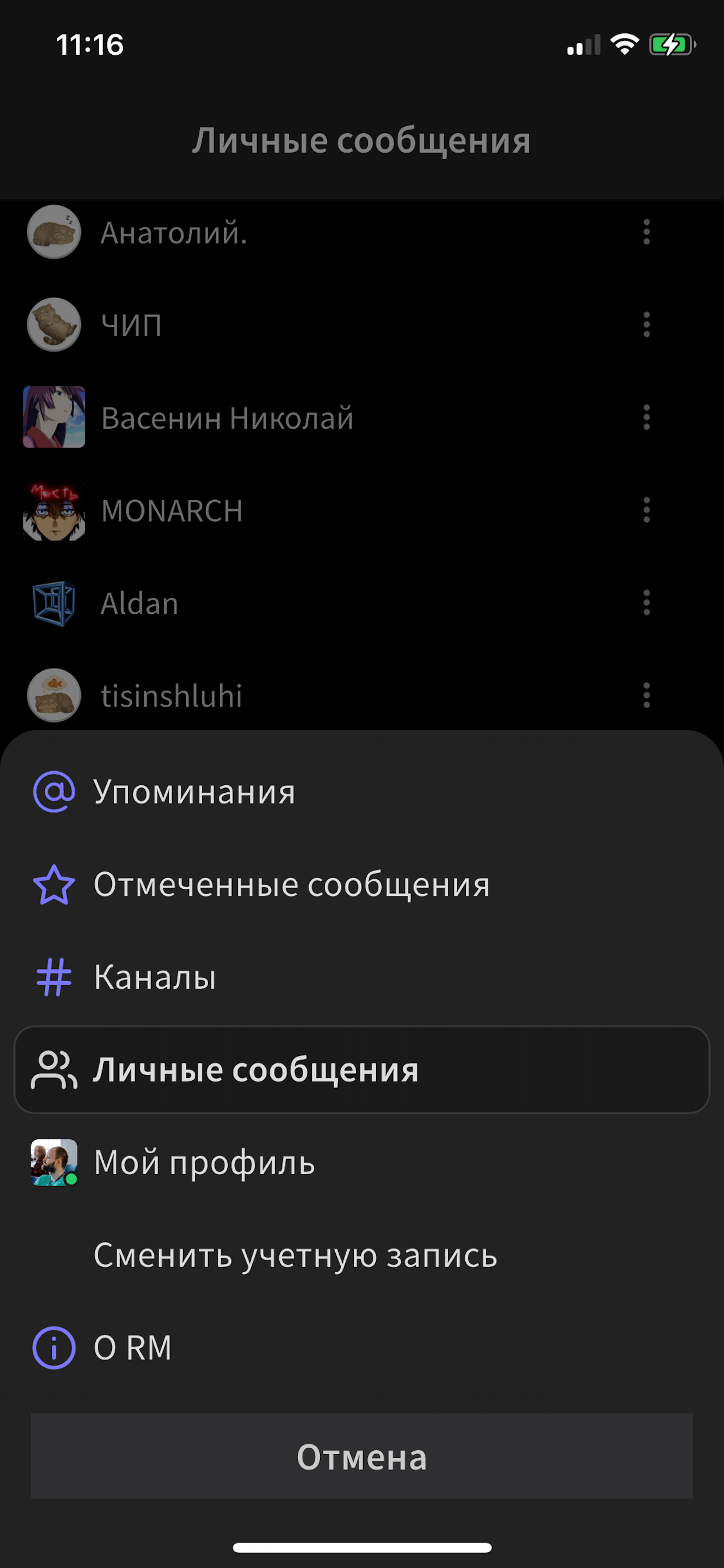 Связь RM screenshot 3