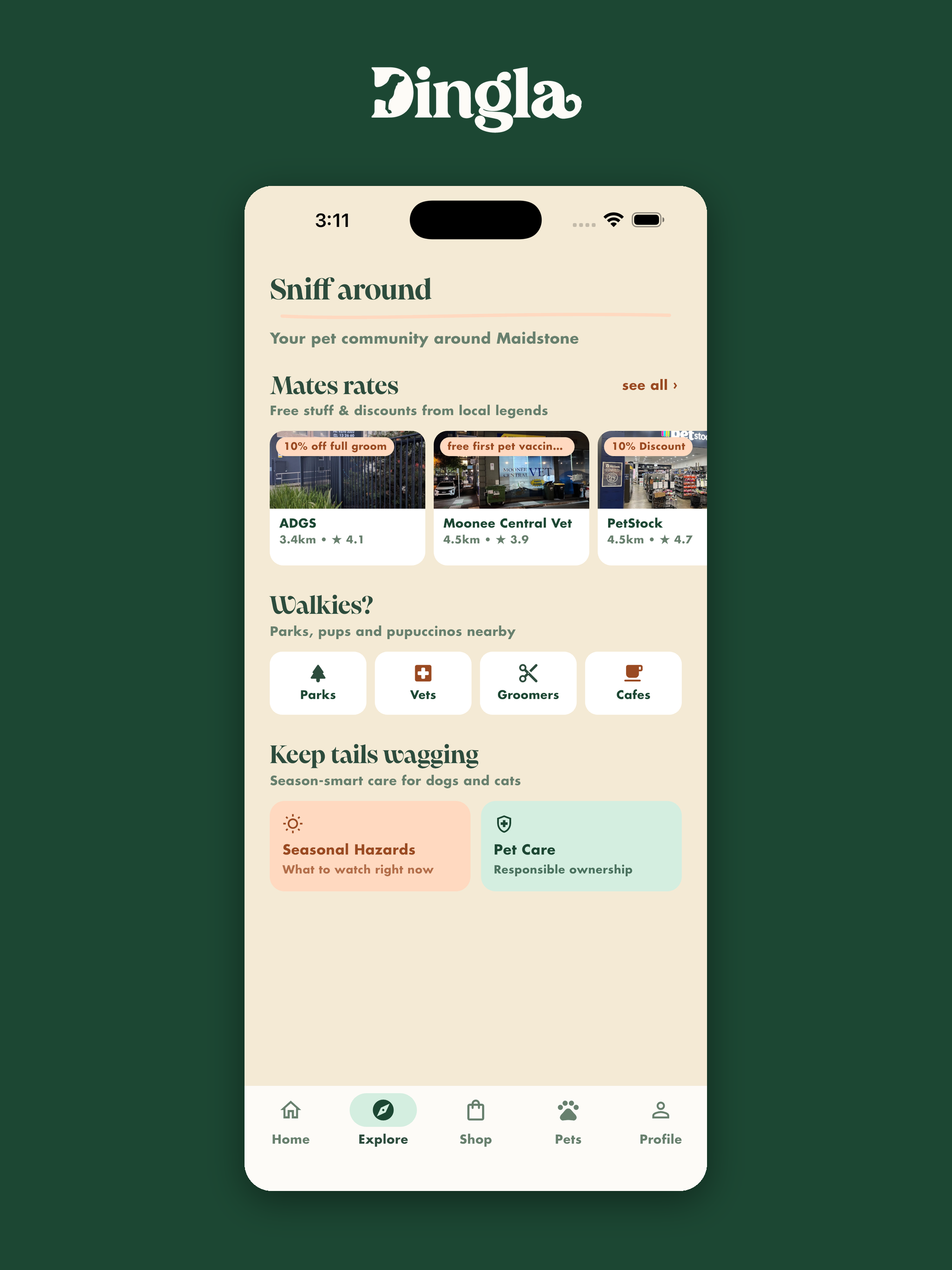 Dingla screenshot 11