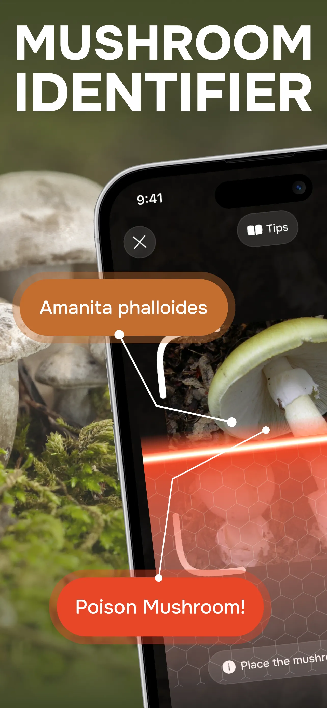 Mushroom ID & Plant Identifier screenshot 1