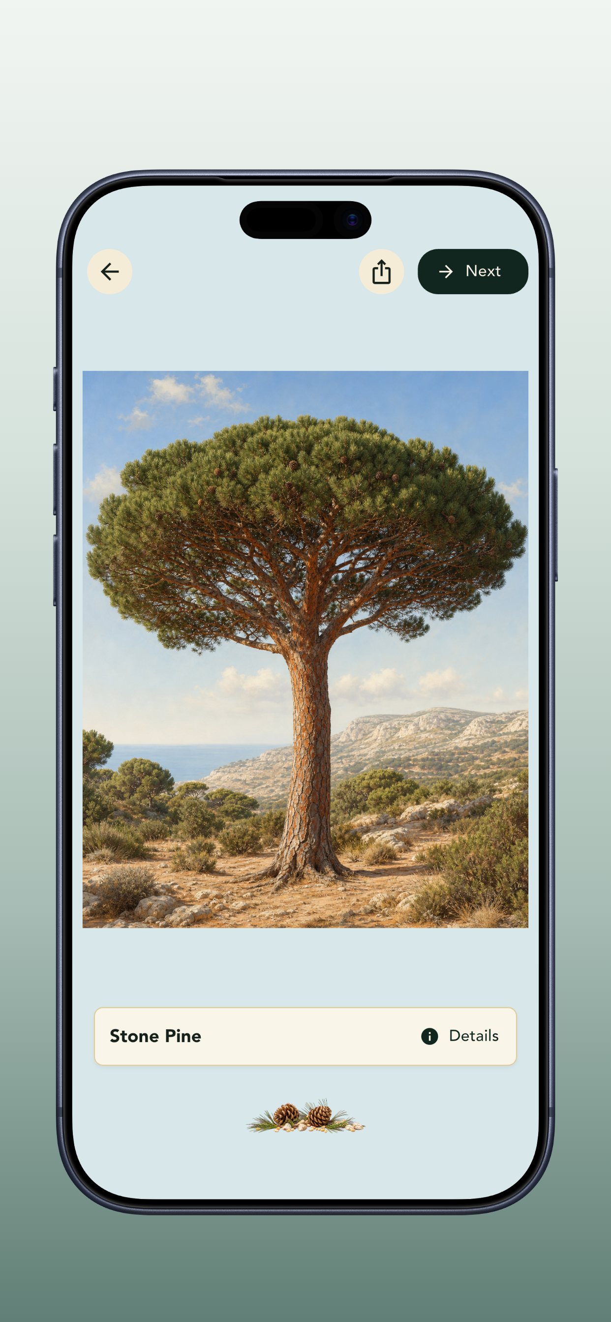 Grove: Botanical Art Puzzles screenshot 4