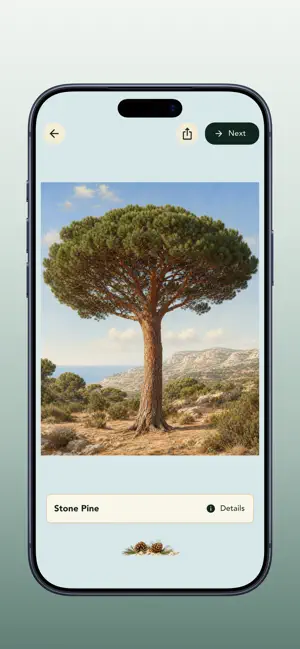 Grove: Botanical Art Puzzles screenshot 4