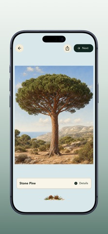 Grove: Botanical Art Puzzles Screenshot 4 of 10