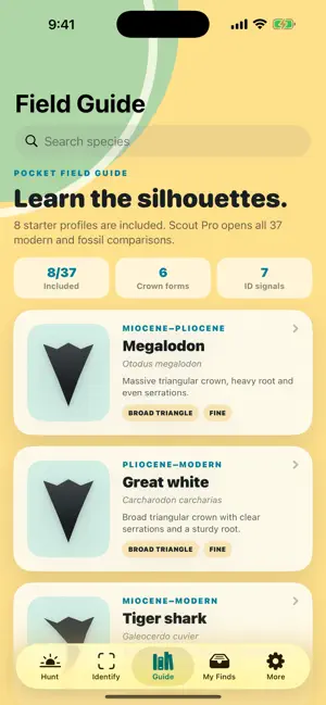 Shark Tooth Scout screenshot 3