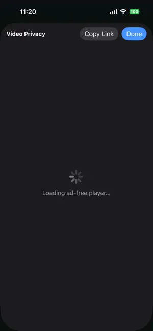 Video Privacy Extension screenshot 3