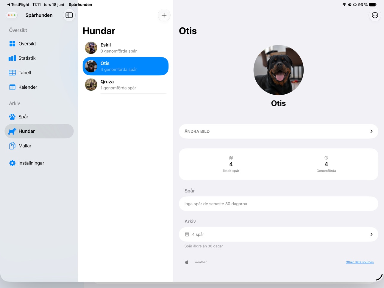 iPad screenshot