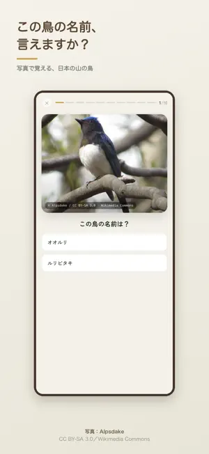 山の鳥名人 野鳥の名前がわかる図鑑クイズ screenshot 1