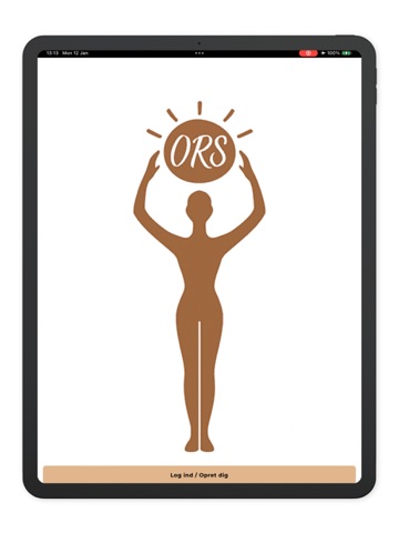ORS iPad screenshot