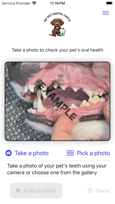 My Pet Dental Check Screenshot