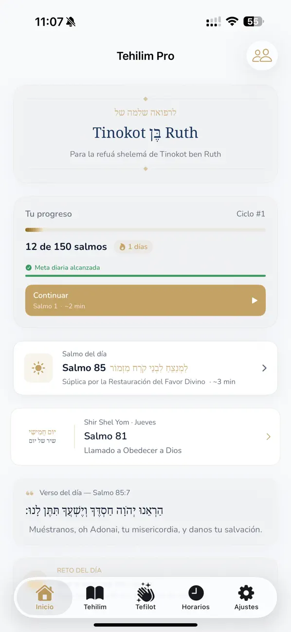#1. TehilimPro (iOS) بواسطة: Joe Sitt