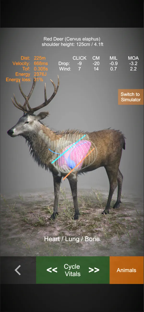 Screenshot #2 pour Rifle Hunt Simulator