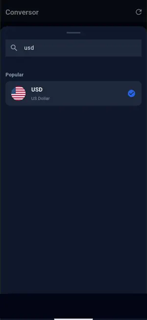 Conversor Pro screenshot 3