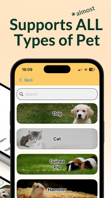 NameMyPet: Find a pet name