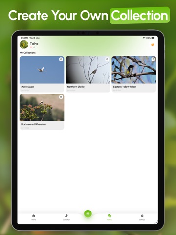 [bird identifier] by Birdby iPad screenshot