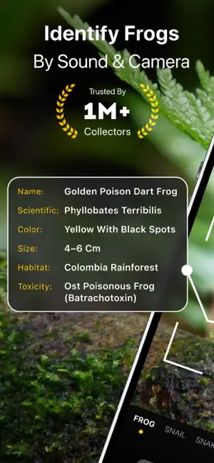 Frog Identifier Frog Sound ID screenshot 1