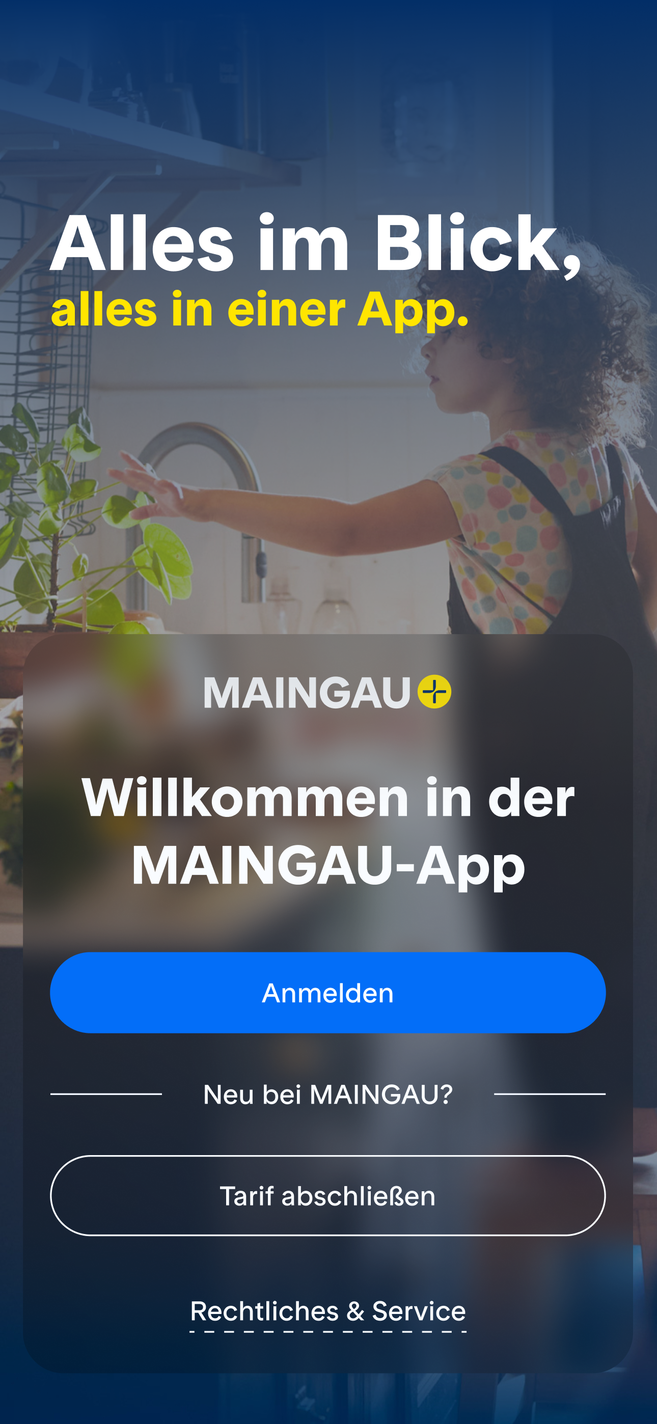 MAINGAU: Strom & Gas verwalten screenshot 9