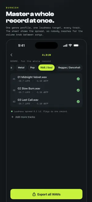 Burnish: AI Audio Mastering screenshot 2