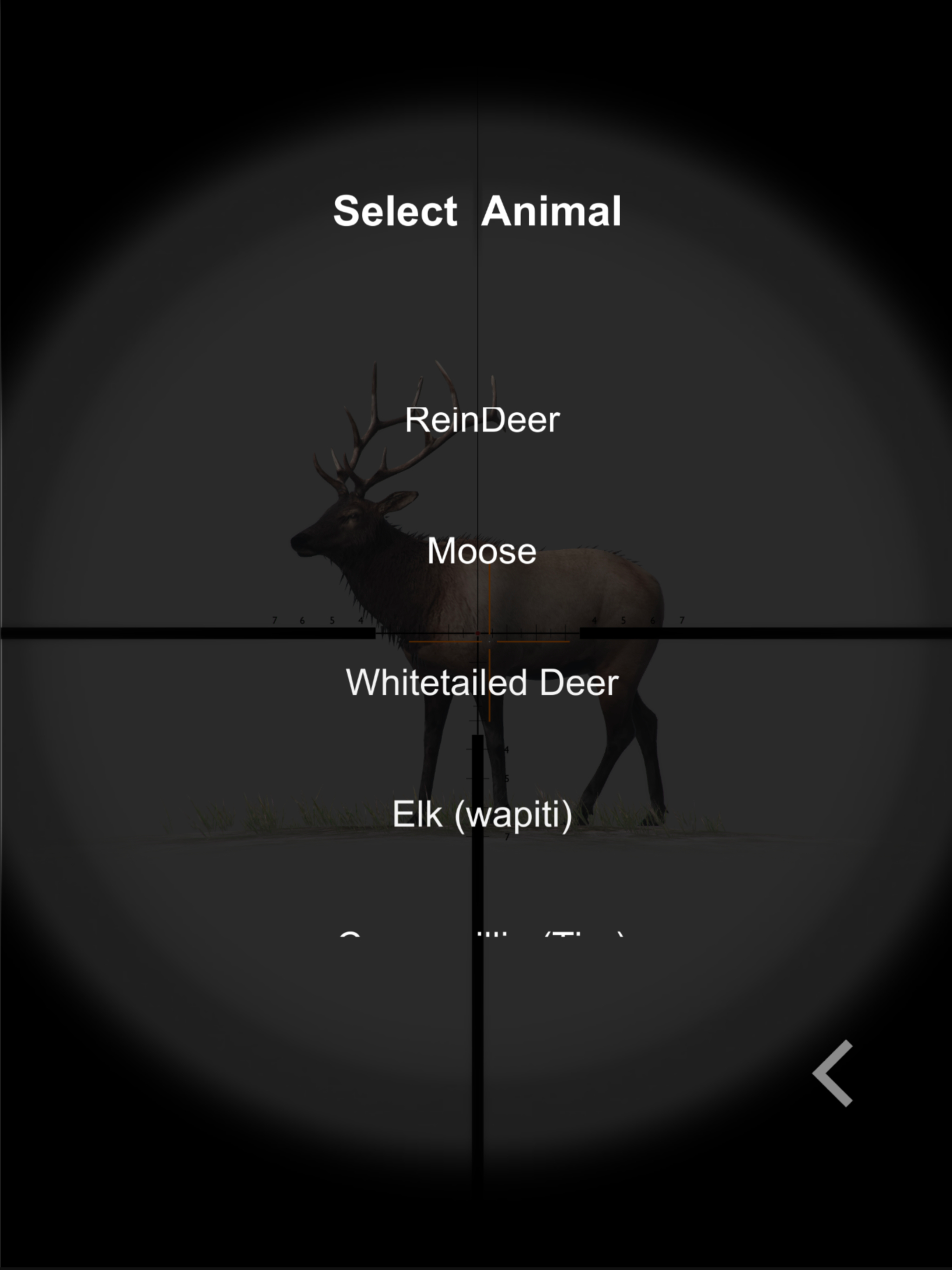 Rifle Hunt Simulator