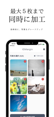 IGMargin screenshot