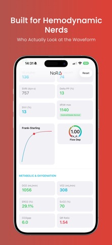 NoR∆ Dynamics screenshot