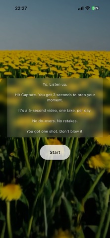 Everyday Dandelion screenshot