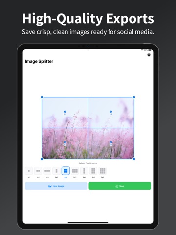 Image Splitter - Crop & Save iPad screenshot