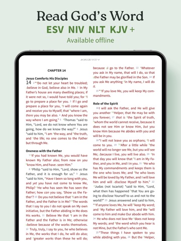 Exegesis: Bible Study Screenshot 2