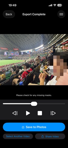 Bystander Video Blur screenshot