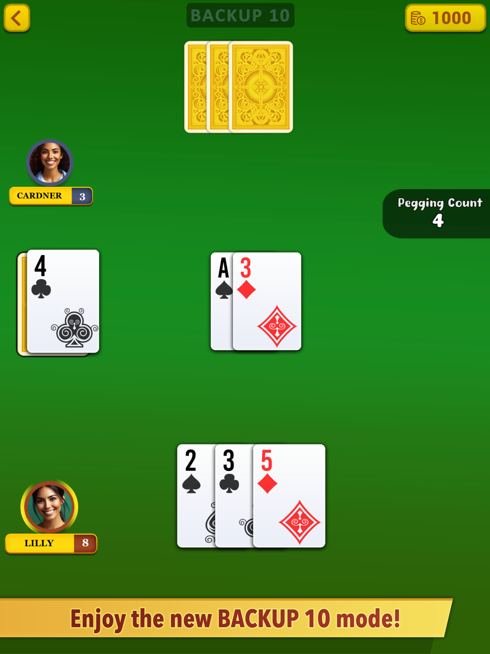 Cribbage ++