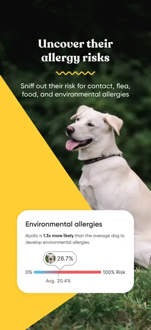 Embark Vet screenshot 4
