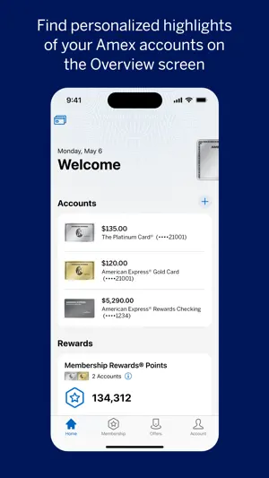Amex screenshot 2