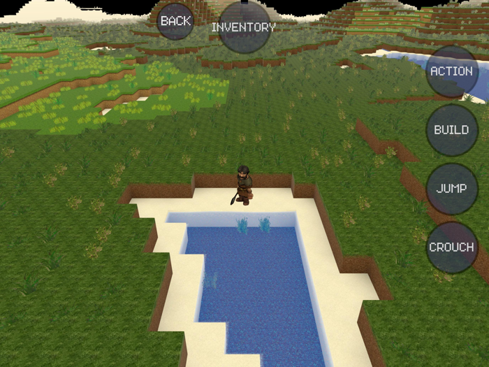 build your voxel World