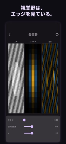 NOURAKU - Visual Neuroscience Screenshot 6 of 7