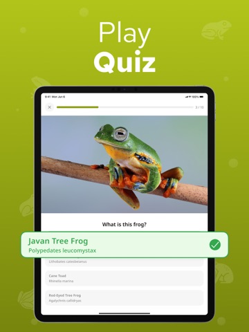 Frog Identifier – Frogium iPad screenshot