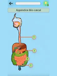 anatomie pro iPad Captures Décran 1