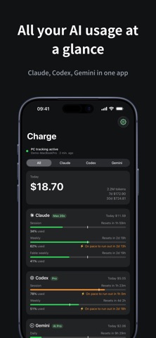 Charge - AI Usage Tracker Screenshot 1 of 3