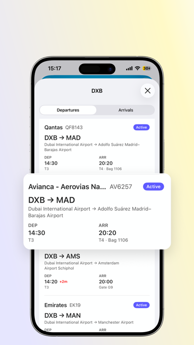Your Accessible Flight screenshot