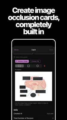 Anky App 2