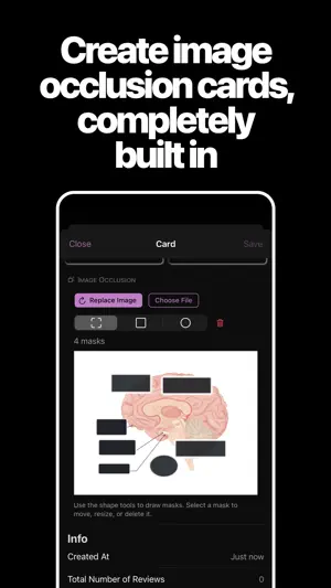 AlgoApp - Flashcards screenshot 2
