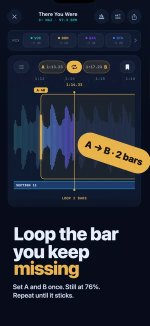 Song Practice: Slow Down Music screenshot 3