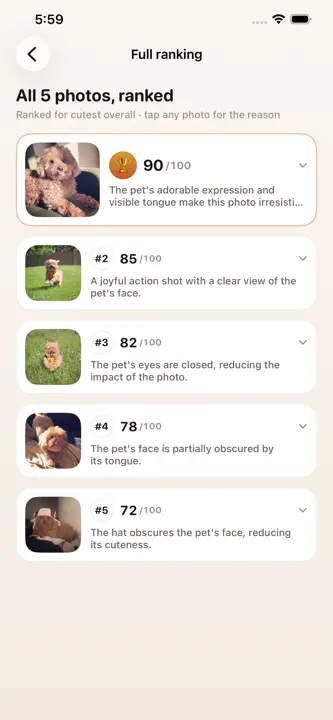 Pick of the Litter screenshot 3