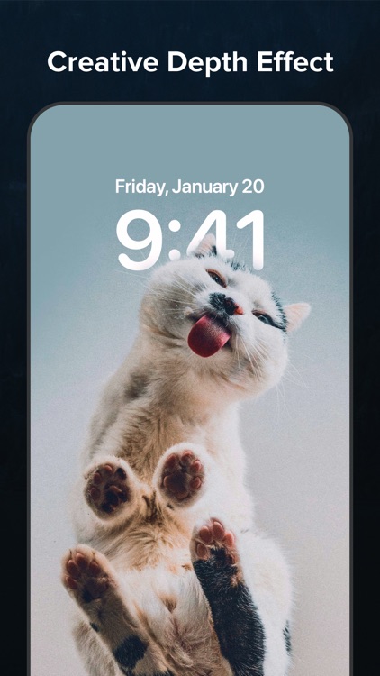 Skin - Widgets, Icons, Themes