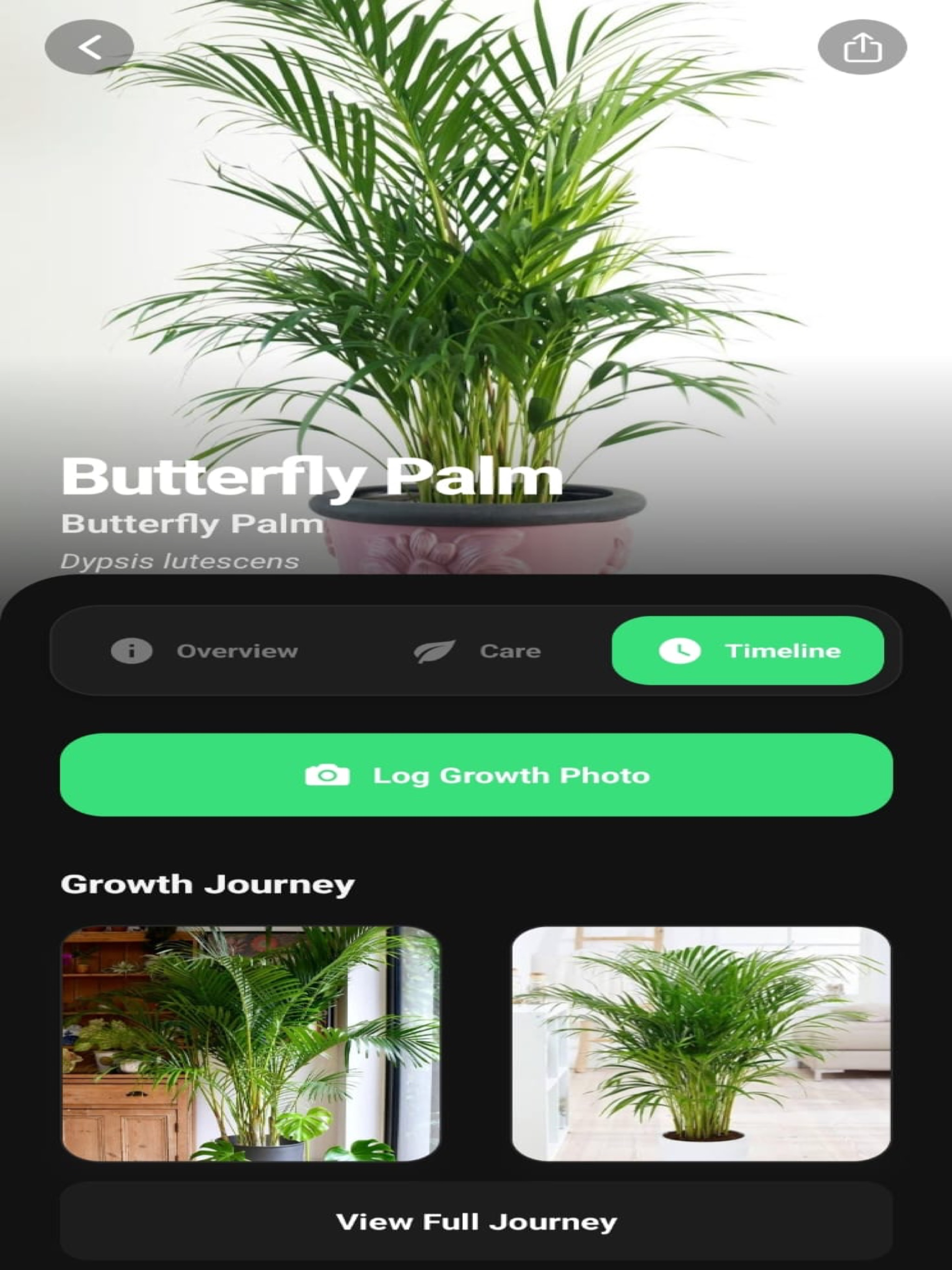 PlantSaga screenshot 11