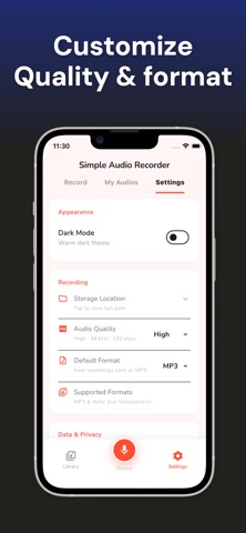 Audio Voice Recorder Lite iPhone screenshot