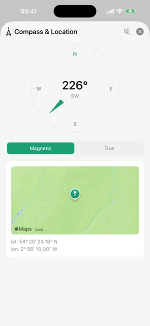 Gauges: Speedometer & Sensors screenshot 3