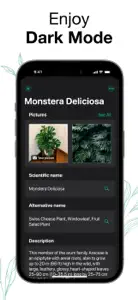 Plants Air - Plant Identifier screenshot #8 for iPhone