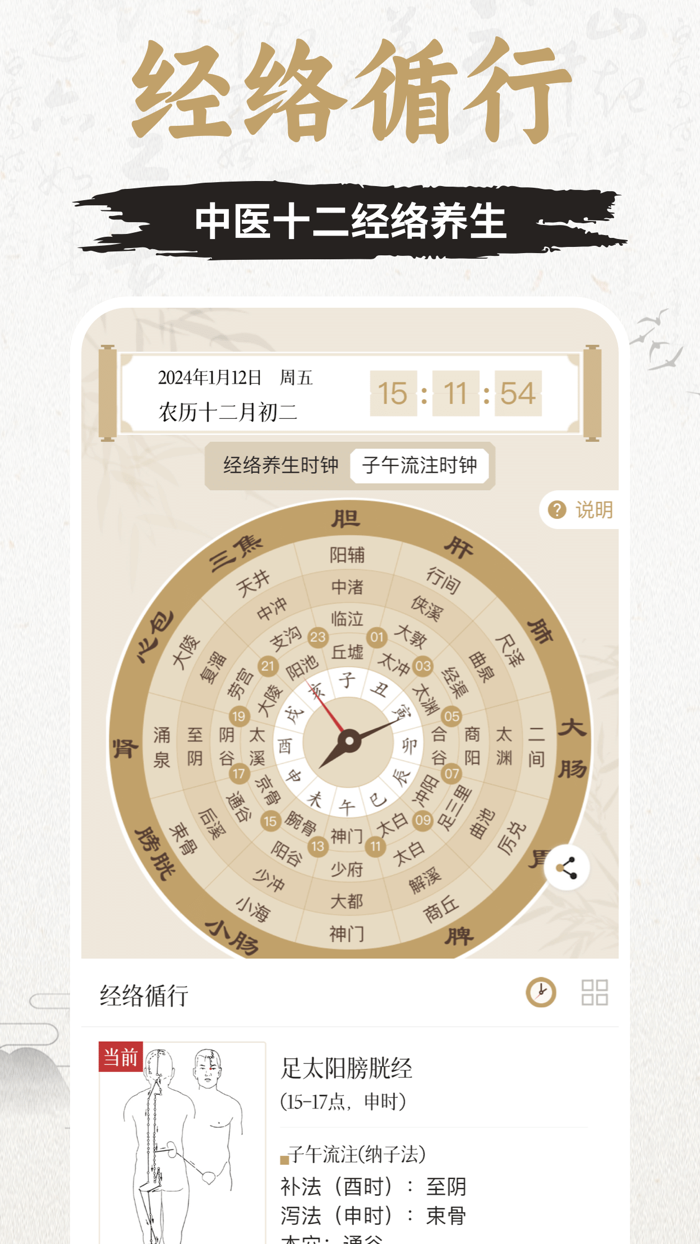 知源经络穴位-中医经络穴位针灸艾灸按摩养生舌诊中草药识别大全