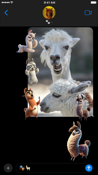 Drama Llamas Screenshot