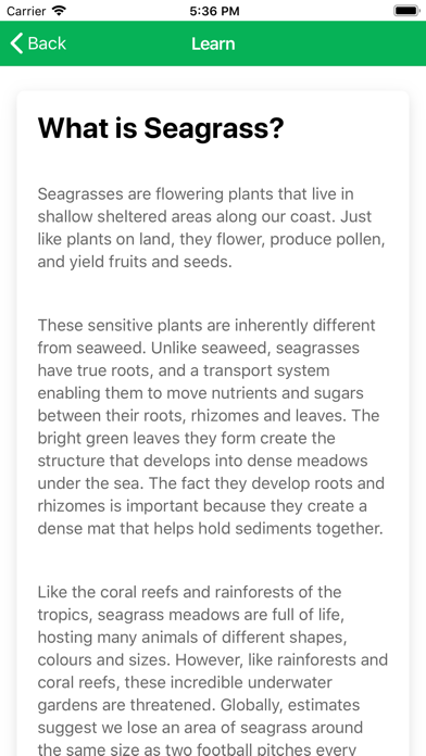 SeagrassSpotter Screenshot